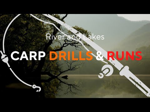 Peste 70 de Drilluri si trasaturi de crap de pe Dunare si lacuri *CARP COMPILATION*