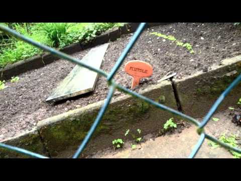 El Manu feat 3st - Schleifstein