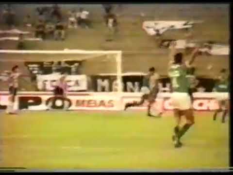 Guarani 2 x 0 Botafogo (Campeonato Brasileiro 1989)
