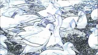 Talking Heads - "Drugs"  Live Audio