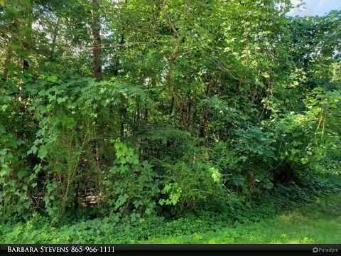 Wallace Real Estate - 238 Elohi Way