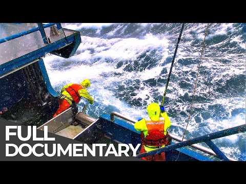 World's Toughest Fishing Ships: Life Aboard Floating Factories