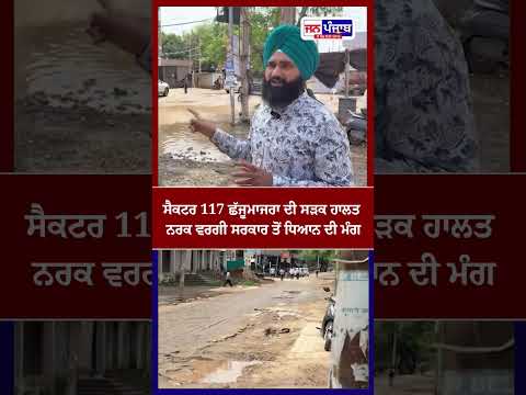 ਸੈਕਟਰ 117 ਛੱਜੂਮਾਜਰਾ ਅਤੇ ਨਿੱਜਰ ਰੋਡ ਦੀ ਹਾਲਤ ਨਰਕ ਵਰਗੀ, ਲੋਕਾਂ ਵਿੱਚ ਭਾਰੀ ਰੋਸ