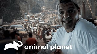 Thumbnail del capítulo