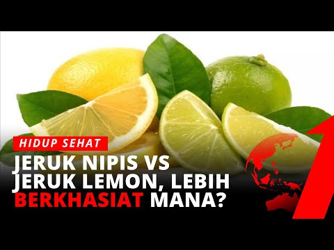 , title : 'Jeruk Lemon vs Jeruk Nipis, Mana yang Lebih Berkhasiat? | tvOne'