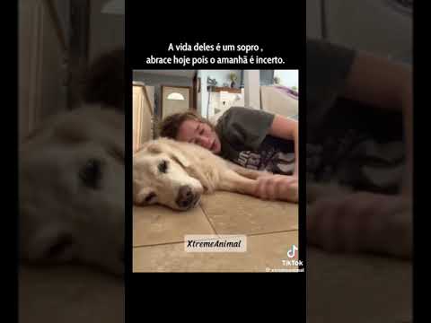 11 de outubro de 2024