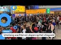 Nog steeds chaos op Schiphol: veel vluchten gaan niet door