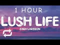 [1 HOUR 🕐 ] Zara Larsson - Lush Life (Lyrics)
