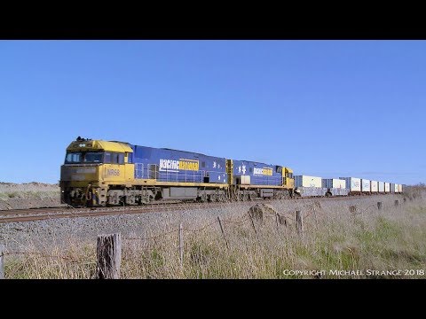 Pacific National AM5 Container Train - PoathTV