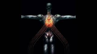 TOOL - Merkaba guitar cover