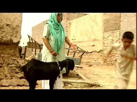 Patti Chithi Part 3 Goyal Music Official