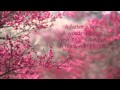 The Afters - Life Is Beautiful Lyrics - 1080p HD