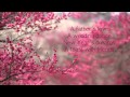 The Afters - Life Is Beautiful Lyrics - 1080p HD ...