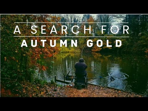 CHASING THE COLOURS OF AUTUMN - Danny's Angling Blog