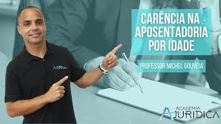 CARÊNCIA NA APOSENTADORIA POR IDADE - PROFESSOR MICHEL GOUVEIA
