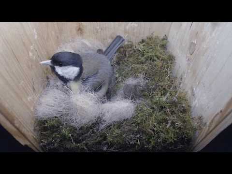 2019 05 27 In aller Frühe und am Abend