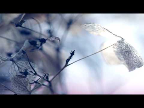 Tiesto - Knock You Out (feat. Emily Haines) (B. Rich Remix)