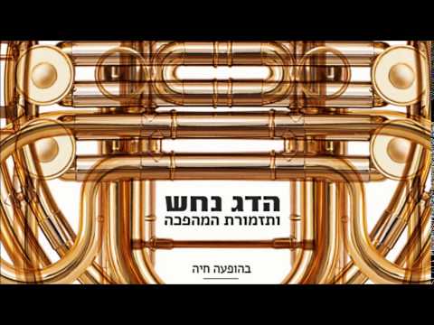 הדג נחש ותזמורת המהפכה  - בסלון של סלומון