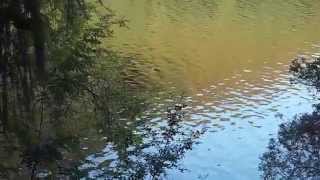 Lake Vyrnwy - Powys - North Wales