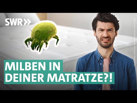 Matratze reinigen: wie und wie häufig? | Marktcheck SWR