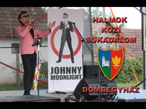Johnny Moonlight előadása