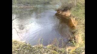 Paul Randmaa metsavendade salga hümn.