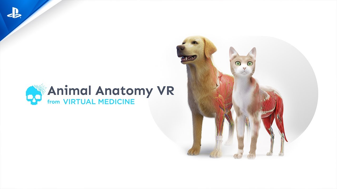 Animal Anatomy VR - Launch Trailer | PS VR2 Games