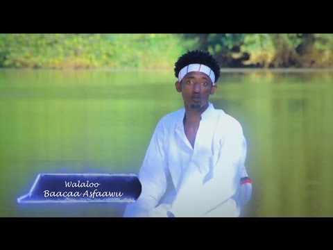 Suma Abdiin Koo: Baacaaa Karoorsaa  **New Oromo Music **2016/17 #Oromo music