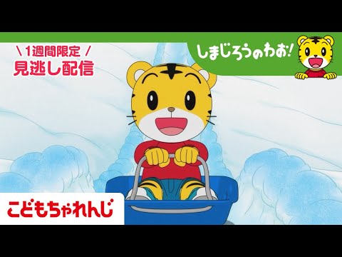 【見逃し配信】テレビ番組「しまじろうのわお！」 2月21日放送 ｜みんなで ゆきあそび｜#712【しまじろうチャンネル公式】