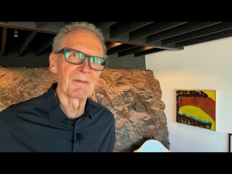 Looking at Pictures on a Screen: Thomas Nozkowski ─ Trailer