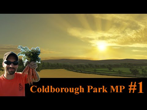 Farming Simulator 2015 Coldborough Park Multiplayer: Raking