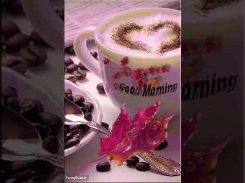 Good morning gif 2018 coffee cup