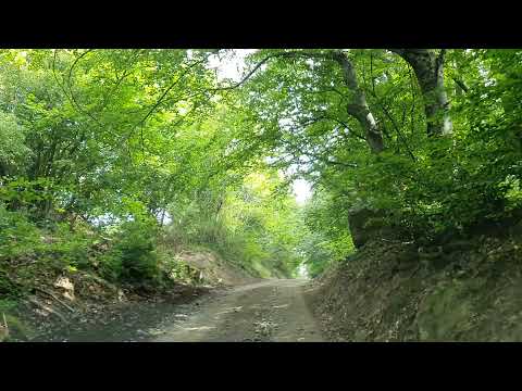 Heart of Jesus statue (Foişorul Inima lui Iisus)