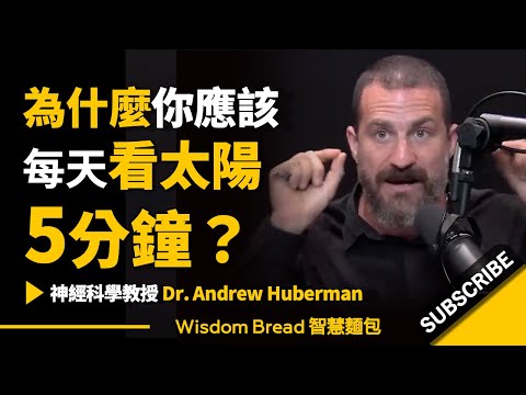 為什麼你應該每天看太陽5分鐘？ (為什麼你應該每天看太陽5分鐘？► 神經科學教授 Dr Andrew Huberman 安德魯．休伯曼博士（中英字幕）)