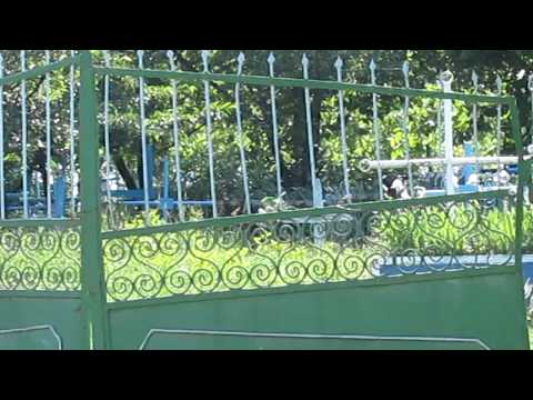 Electorala 2011 Satul Balasesti