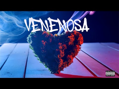 VENENOSA - MC's Menor da VG, Leozinho ZS, Neguinho do Kaxeta, Kanhoto e Kadu - DJ Murillo e LT
