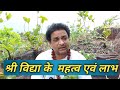 श्रीविद्या साधना के महत्त्व एवं लाभ Impo