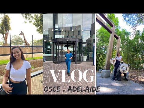 OSCE EXAM IN ADELAIDE - APR 2022 //ADELAIDE ZOO