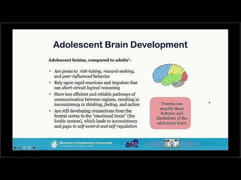 A Trauma-Informed Approach for Newcomer Immigrant Youth