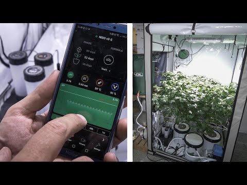 , title : 'Come coltivare in idroponica con una centralina automatizzata NidoPro, ciclo di coltivazione indoor'