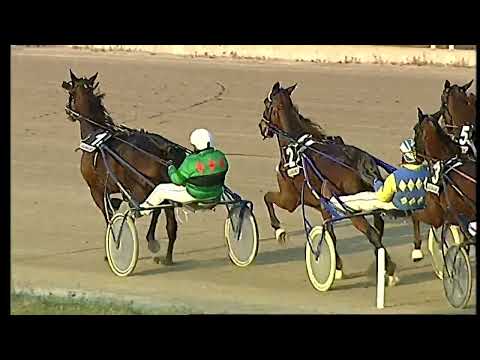 Napoli Trotto 20/02/2022 - 7ª corsa