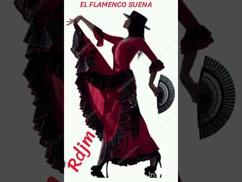 ANSARA Y JUAN SALAZAR ya dejé de quererte