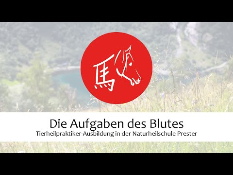 Die Aufgaben des Blutes