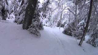 preview picture of video 'Killington after 14 of wet snow'
