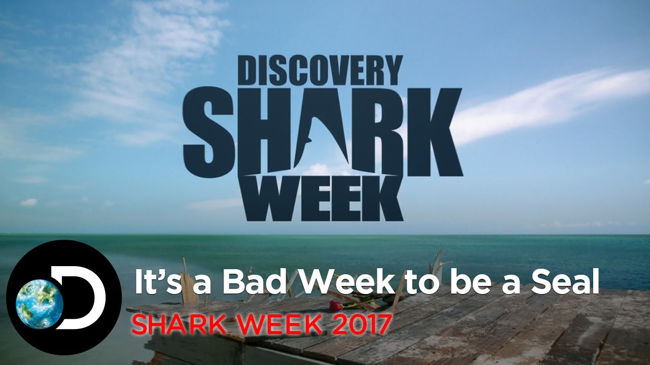 It's A Bad Week To Be A Seal | Shark Week 2017