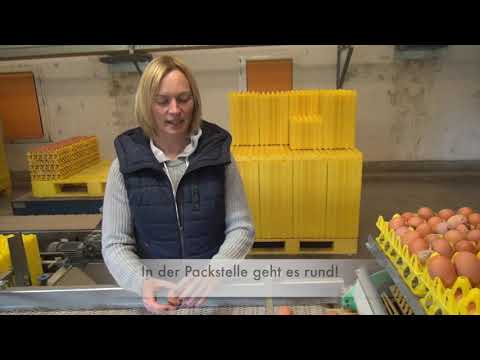 Eier von Familie Beke-Bramkamp