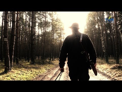 Darz Bór odc. 81 - Polowanie na Jelenia cz.1