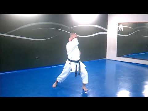 KATA NISEISHI SHITO RYU