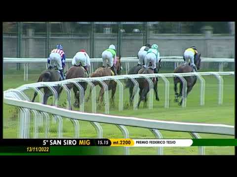 Premio Federico Tesio - Gruppe 2