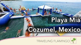 🏖 Playa Mia Cozumel 🇲🇽 | Beach Club Excursions in Cozumel